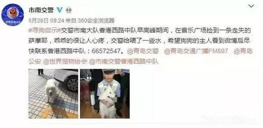 有問題找警察，薩摩耶派出所報案，不注意這件事，對狗狗致命，警察蜀黍卻幫不上忙！