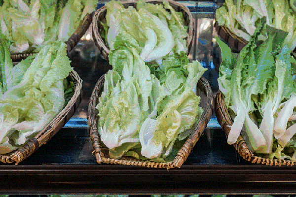 夏至高溫預警！消暑養(yǎng)生秘笈了解一下？