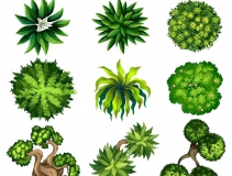 可以凈化室內空氣的植物，這二十種您需要好好了解一下！