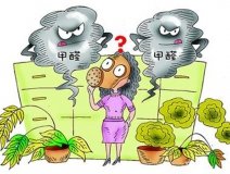 活性炭進(jìn)行甲醛治理真的有用嗎？