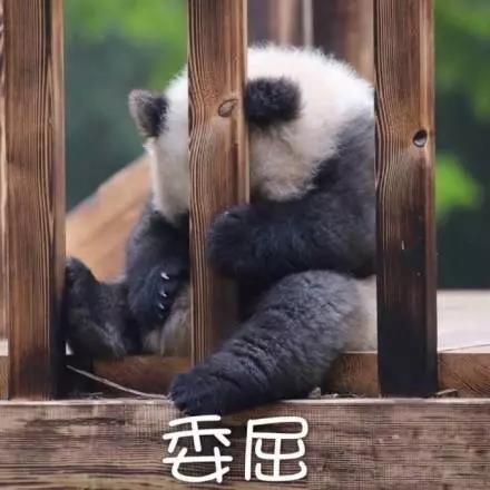 別大意！七大除甲醛“誤區(qū)”，信了你反而會生??！通風、綠植、活性炭、熏蒸……你中招了嗎？